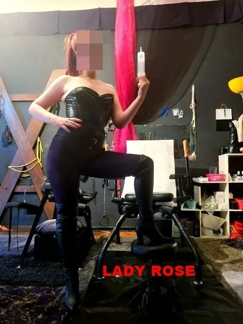 Lady Rose